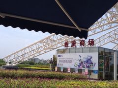 香薰山谷-紫颐香薰山谷景区