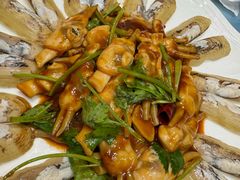 -大连湾旭日·家宴·海肠捞饭(马栏广场店)