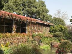 -中国茶叶博物馆(双峰馆区)