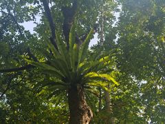 -清远恒大酒店·寻味清远