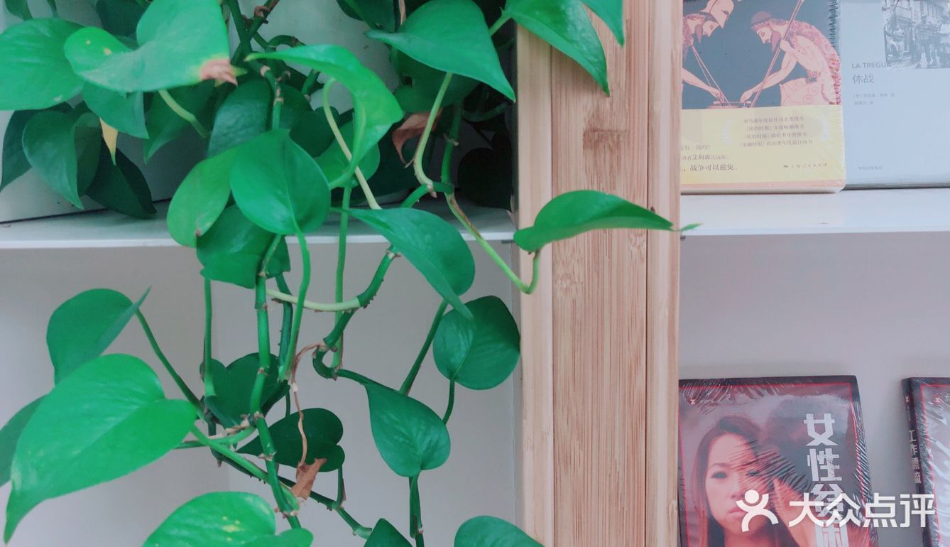 打卡一家佛系网红书店