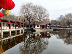 -团结湖公园
