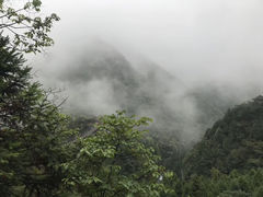 -娄山关景区