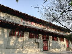 -中央民族大学