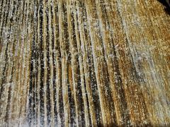 -顺丰面馆(打浦店)