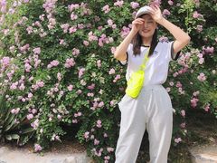 -丰台花园