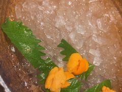 -月龍吟(朝龙汇店)