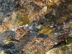 -王顺山国家森林公园