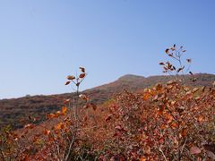 -周口店坡峰岭风景区
