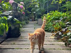 -谷咖啡·鲜花绿植花园餐厅