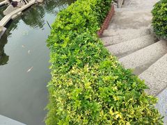 -鼓浪屿钢琴博物馆