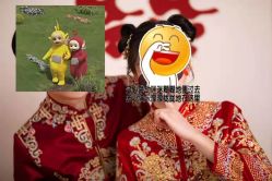 -花漾摄影优选工作室(东莞原创作品店)