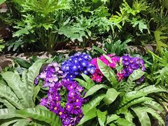 -园里火锅(仁和新城店)