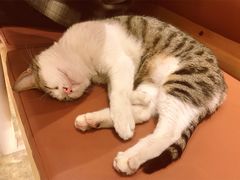 -MQ COFFEE STAND明谦(新洲店)
