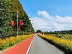 -上海长兴岛郊野公园