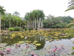 -中国科学院西双版纳热带植物园