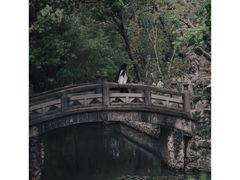 -华侨公园