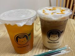 -楼上猫咖(罗湖店)
