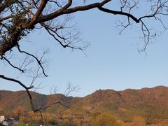 -塔川景区