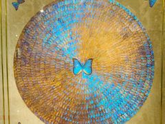 -上海昆虫博物馆