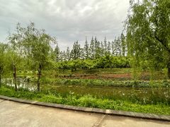 -前小桔亲子创意农场·草莓采摘·露营烧烤