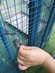 -萌宠亲子动物乐园(槐房万达店)