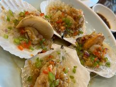 蒜蓉粉丝扇贝-民族饭荘(新华大街店)