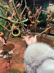 -Zoolung Zoolung动物主题公园(海信广场店)