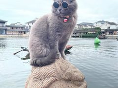 -锦溪古镇