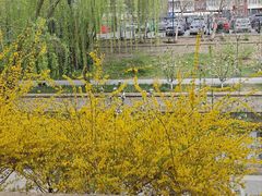 -元大都城垣遗址公园