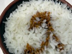 猪油拌饭-长沙文和友(海信广场店)