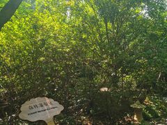 -昆明柏联SPA温泉