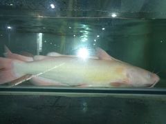 -万和源炝锅城·活鱼现炝(文艺北路店)