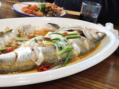 -老马家·舌尖上的西塘美食