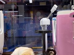-FAELING PETS美天灵宠物(富力广场店)