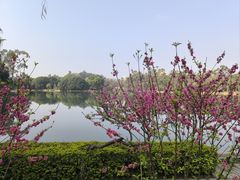 -西湖公园(鼓楼区)