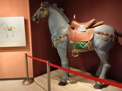 -西安大唐西市博物馆