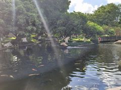 -名树园