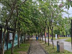 -南丹山森林王国