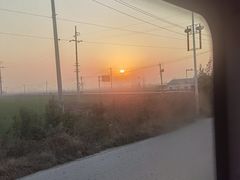 -满记甜品(静安大悦城店)