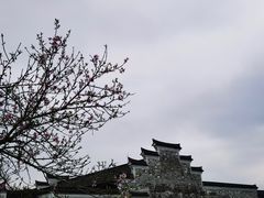-慈城古县城景区