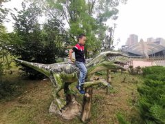 -诸城市恐龙博物馆
