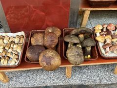 -草墩罗非鱼庄•野生菌•腊排骨(七星街上段店)