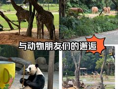 -广州长隆野生动物世界