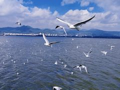 -海埂大坝