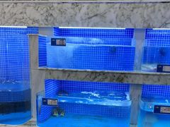 -香山湖渔家大院