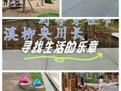 -石榴庄公园
