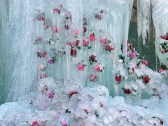 -洛阳白云山景区