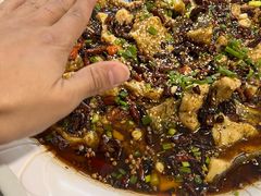 来凤鱼-瓦房兔(璧山店)