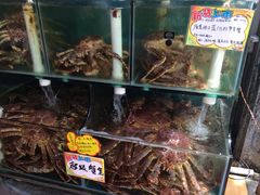 蚝-蚝专家(北滘店)